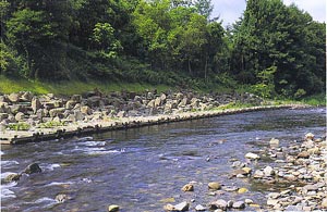 大畑川（青森）