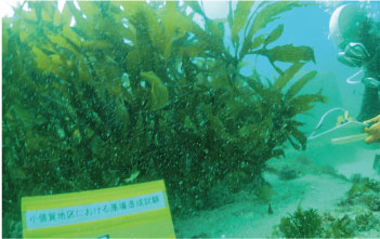 海藻技術研究所